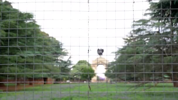 Standbeeld Van Engel Gebouw Panning Van Links Naar Rechts Verre — Stockvideo