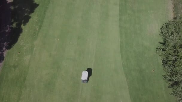 ゴルフ場フェアウェイでのゴルフカート運転の垂直高角度ビュー — ストック動画