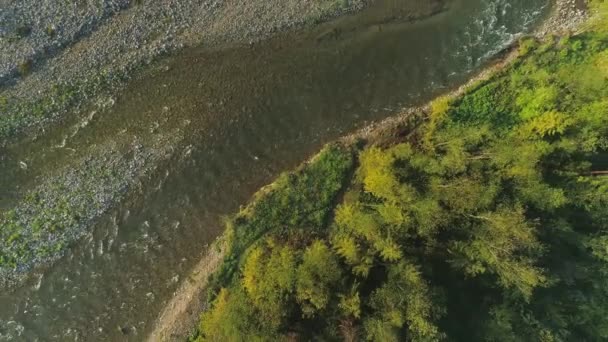 Topo Aéreo Para Baixo Subindo Sobre Rio Bialka Polônia — Vídeo de Stock