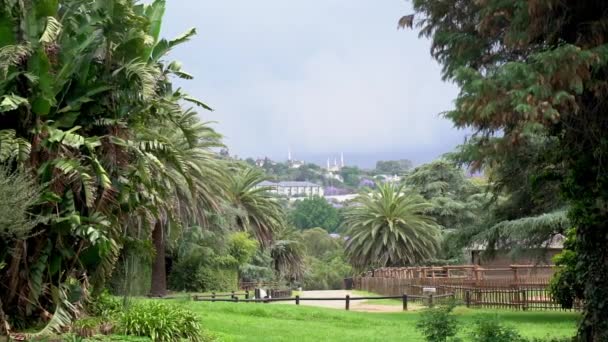 Paysage Zoologique Panoramique Lent Gauche Droite — Video