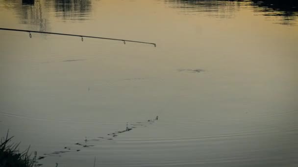 Angelrute Über Ruhiger Handfläche Die Weiches Goldenes Licht Reflektiert Person — Stockvideo