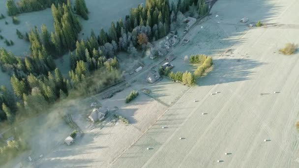 Polen Landschaft Mit Mehreren Gehöften Neben Grünland Der Morgendämmerung Luftaufnahme — Stockvideo