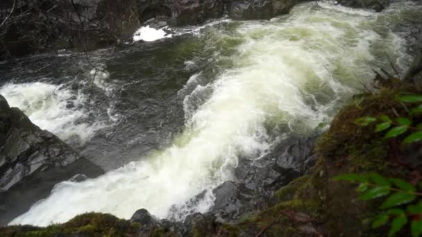 Tiro Movimento Lento Uma Cachoeira Água Alta — Vídeo de Stock