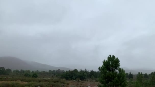 多雨的风景 不断移动的射击 — 图库视频影像