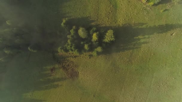 Lucht Top Stijgen Groene Mistige Weiden Verlicht Door Zonlicht — Stockvideo