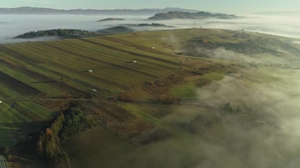 Fog Cultivated Fields Aerial Backward Tilt — Stock Video