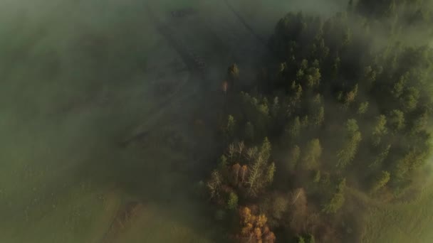 Campo Rural Europeo Con Niebla Mítica Que Cubre Paisaje Aéreo — Vídeo de stock