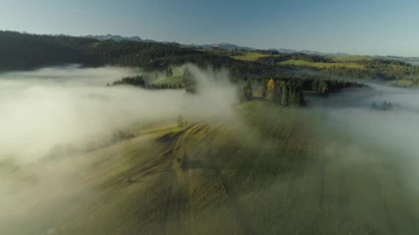 Morning Sunlight Illuminating Misty Landscape Creating Dreamy Scenery Aerial — Stock Video