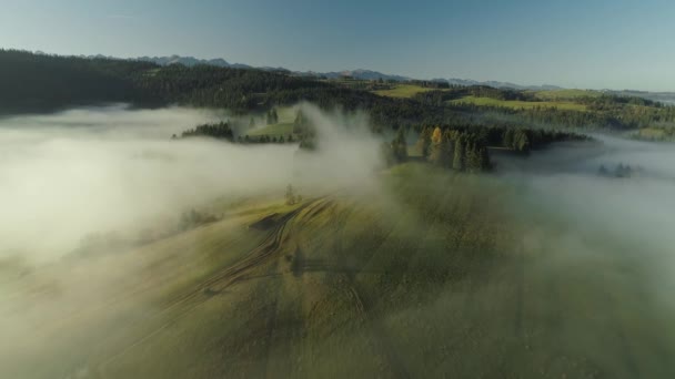 Manhã Luz Solar Iluminando Paisagem Enevoada Criando Cenário Sonhador Aéreo — Vídeo de Stock