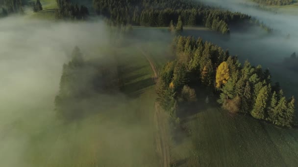Поверхневі Хмари Над Сільською Місцевістю Польщі Туманні Краєвиди Вічнозеленим Лісом — стокове відео