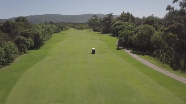 Tracking Aerial Golf Cart Driving Green Fairway — Stock Video