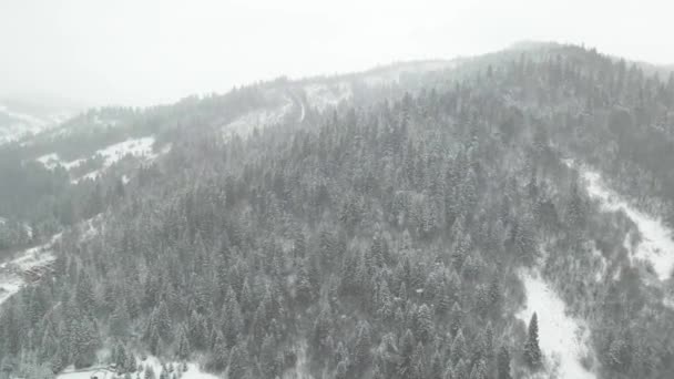 Neve Caindo Sobre Paisagem Inverno Floresta Drone — Vídeo de Stock