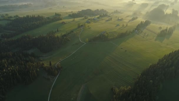 Uitzicht Van Boven Het Platteland Rond Jurgow Dorp Polen — Stockvideo