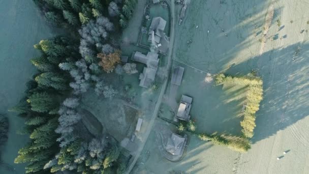 ポーランドのウィトウ村の空中トップダウンの家 — ストック動画