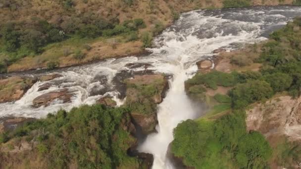 Aerial Drone Shot Path River Its Final Waterfall Africa Murchinson — Vídeo de stock