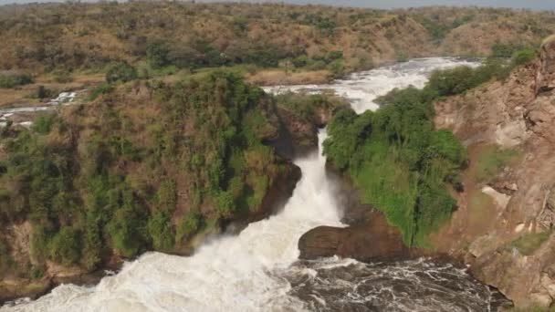 Aerial Drone Shot Murchison Falls National Park Grandes Caídas Medio — Vídeo de stock