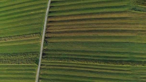 Luftaufnahme Endlos Saftige Weiden Und Ackerland Mit Grünen Feldern Und — Stockvideo