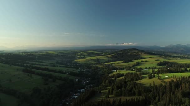 Drone Flight Peaceful Rural Landscape Shaggy Spruce Tranquil Village Aerial — Stock Video
