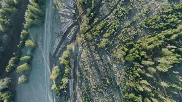 在公路旁边堆积如山 在森林里堆积如山 在空中堆积如山 — 图库视频影像