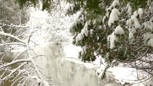 Flocos Neve Caindo Pequeno Rio Enquanto Árvores Verdes São Cobertas — Vídeo de Stock
