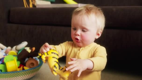 Kleine Blauäugige Kleinkind Spielt Mit Einem Tiger Spielzeug Auf Dem — Stockvideo