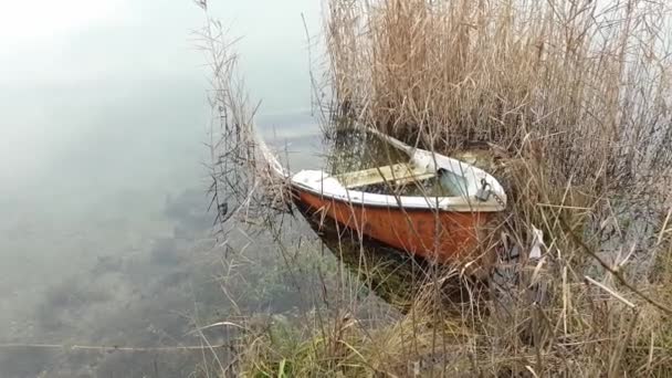 Közeli Panning Felvétel Egy Elfelejtett Evezős Csónak Vízben Részben Elsüllyedt — Stock videók