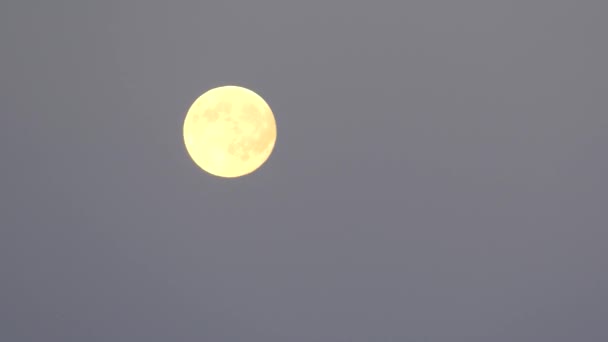 Gelber Mond Zieht Über Den Himmel Zeitraffer — Stockvideo