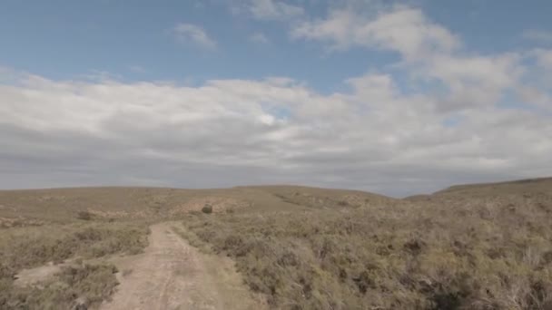 Pov Mengemudi Melalui Kering Bergulir Sabana Afrika Jalan Tanah Kecil — Stok Video