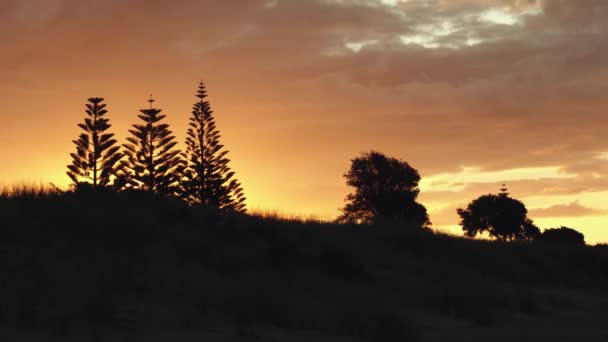 Silhouet Van Een Landelijk Panorama Met Een Oranje Hemel Tijdens — Stockvideo