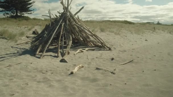 Takken Van Bomen Die Een Piramide Het Strand Maken Voor — Stockvideo