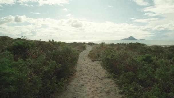 Pov Girato Piedi Sentiero Sabbia Sulla Costa Whakatane Con Isola — Video Stock