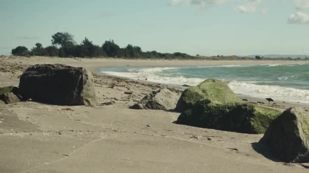 Strandlandskap Med Klippor Och Vågor Whakatane Nya Zeeland — Stockvideo