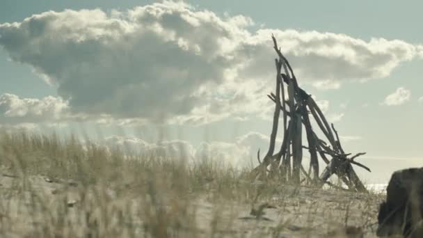 Een Laag Zicht Stokken Die Een Kampvuur Maken Het Strand — Stockvideo