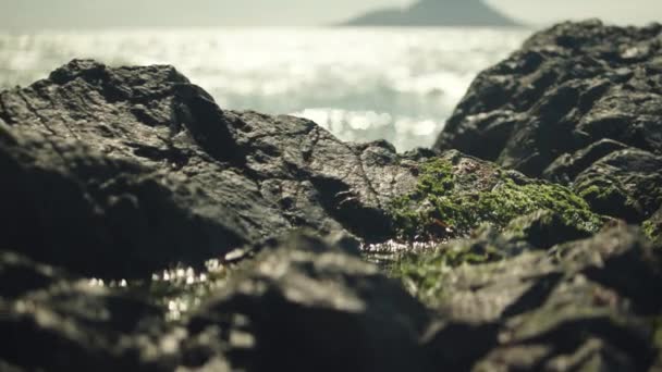 Close Shot Rochas Cobertas Musgo Com Mar Brilhante Atrás Refletindo — Vídeo de Stock