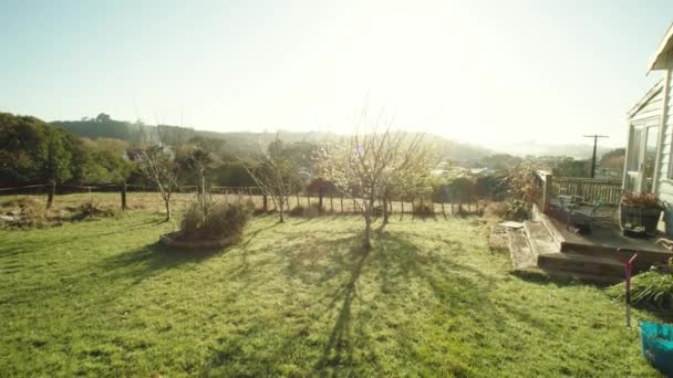 Egy Zélandi Farm Kertjében Napkitörésekkel Fotózott Pov — Stock videók