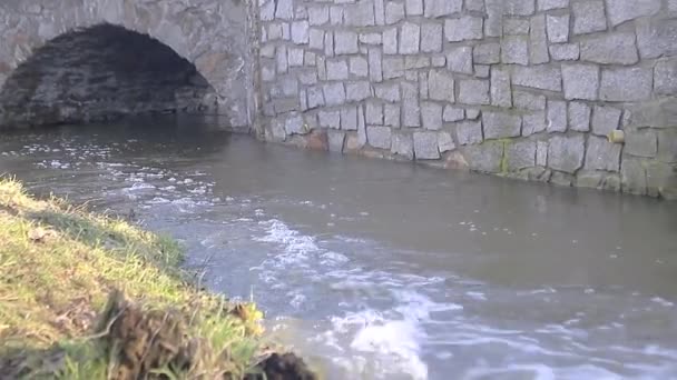 Agua Alcantarillado Corriendo Hacia Lago Contaminando Stock Agua Material Video — Vídeo de stock