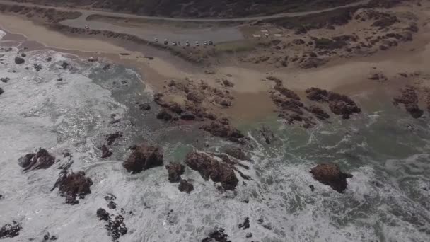 Długa Powolna Antena Skupia Się Trupie Martwego Wieloryba Wyrzuconej Plażę — Wideo stockowe