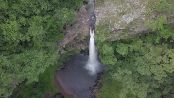 Vertikalantenne Von Der Spitze Der Dramatischen Lone Creek Falls Südafrika — Stockvideo