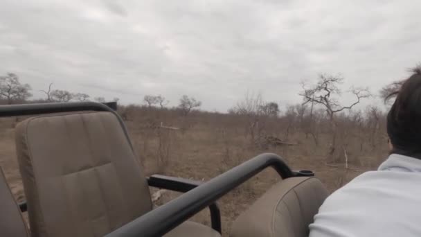 Fotografa Pan Mujer Safari Cámara Dirigida White Rhino — Vídeo de stock