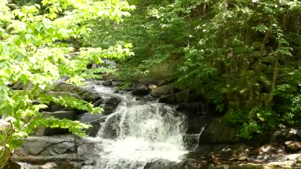 加拿大魁北克乌陶埃 一个阳光灿烂的小瀑布 中等倾角落下来 — 图库视频影像