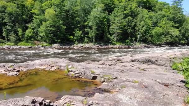 Protékající Voda Stezky Lesem Kanadském Ontariu Perfektní Místo Pro Rafting — Stock video