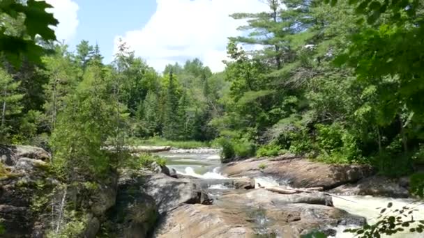 加拿大安大略省的一条河和它的小瀑布 宽至中的跟踪射击 — 图库视频影像