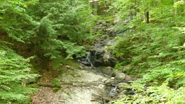 Liten Bäck Outaouais Regionen Quebec Kanada Vidsträckt Lutning — Stockvideo