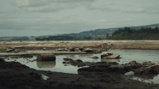 Plaża Oceaniczna Odpływie Dryfujące Drewno Plastikowe Śmieci Wilgotnym Piasku — Wideo stockowe