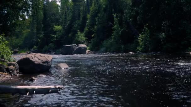 Fiume Battesimo Scorre Attraverso Tettegouche State Park Minnesota Foresta Rilassante — Video Stock