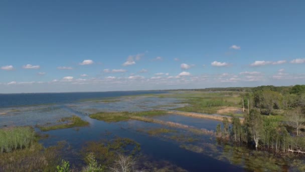 Vue Lac Tohopekaliga Cloud Florida Milieu Après Midi — Video