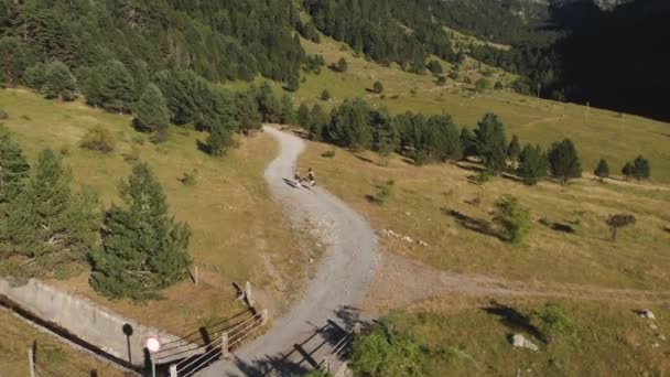 Drone Aéreo Tiro Amigos Caminhando Por Caminho Montanha Imagem Zoom — Vídeo de Stock