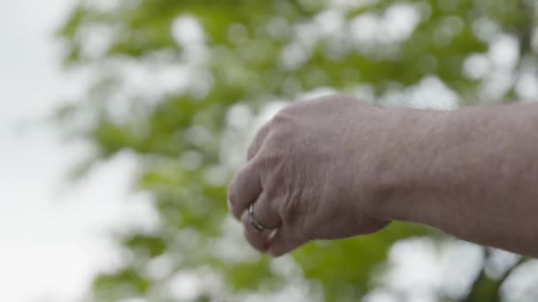 Close Hand Putting Garden Glove — Stock video