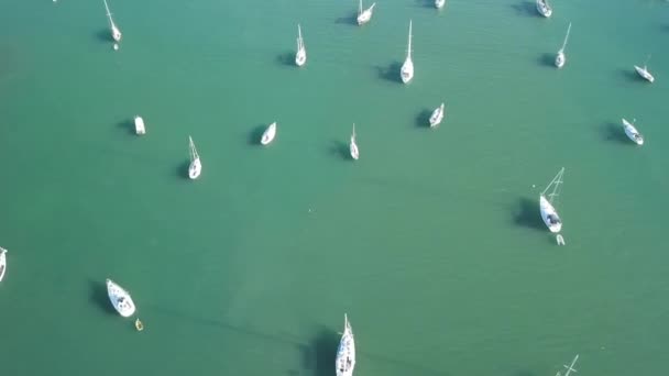 Voiliers Dans Port Des Caraïbes Îles Vierges Aériennes — Video