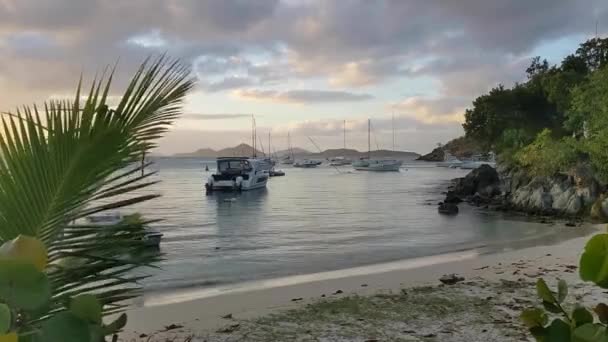 Praia Caribenha Por Sol Com Barcos Porto — Vídeo de Stock